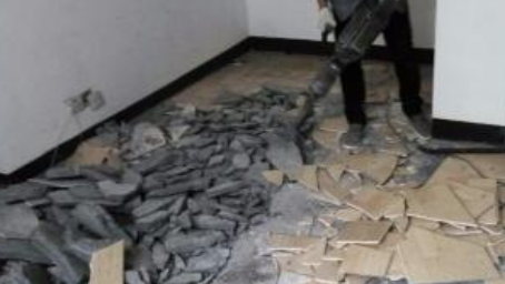 九合垸原种场辅助拆除