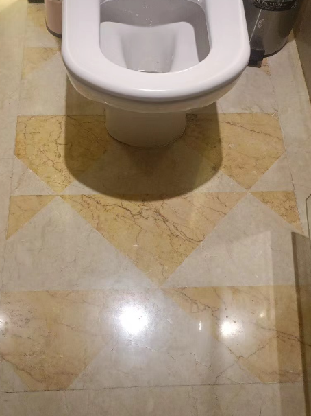 九合垸原种场瓷砖修缮